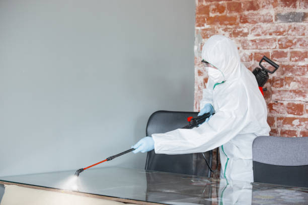 Best Biohazard Mold Removal in Pleak, TX